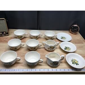 Mount Mt Clemens USA YELLOW ROSE 12 Piece Mixed Replacement set